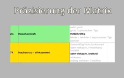 Präzisierung der ZG-Matrix