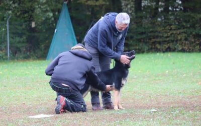 08.06.2025 Ausstellung CC-Bayern Thumsenreuth