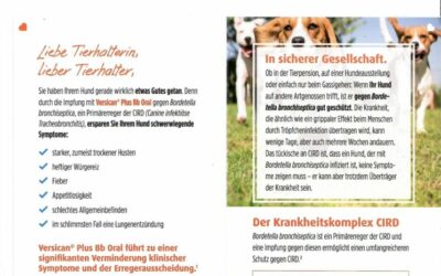 Ein Beitrag von Frau Dr. G. Görke