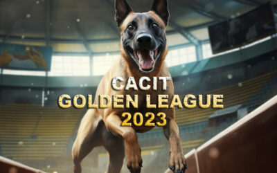 Überwältigender Beginn der CACIT Golden League 2023: RSV2000 Hundesportler erobern die Spitze
