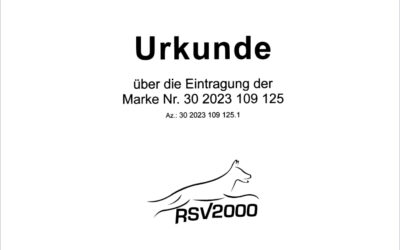 Markenschutz für den RSV2000 erfolgreich: Ein Meilenstein für unseren Verein