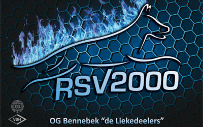 06.07.2025 Prüfung im RSV2000 Bennebek
