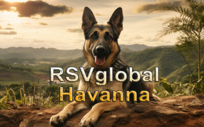 Freudige Erweiterung: Neue RSV-Familienmitglieder in Havanna, Kuba