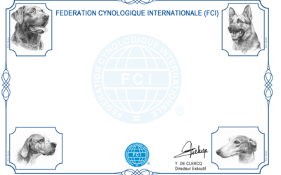 CACIT Anwartschaften 2023 von der FCI bestätigt