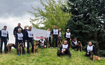 VDH-DM IGP 2025 in Kamenz