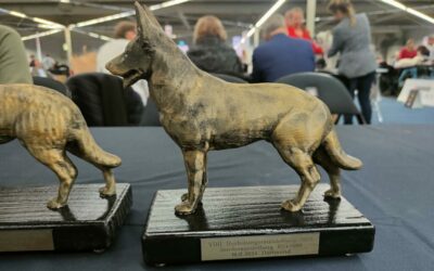 07.11.2025 Agria Trophy Show | Herbstsieger
