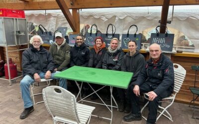 Bericht zur VDH Deutschen Meisterschaft der Fährtenhunde (IGP-FH)