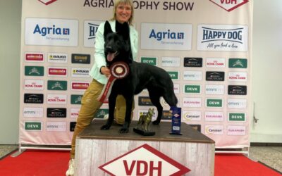 Agria Trophy Show 2025 – Gebrauchshunde im Fokus