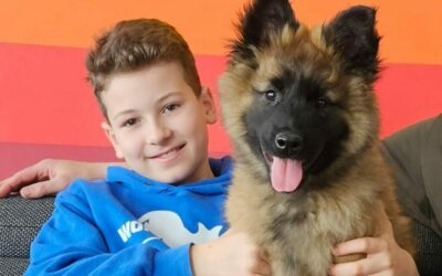 Projekt Tervueren: Wir möchten unsere Rassezuständigkeit erweitern