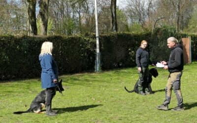 Prüfung DGPO Oer-Erkenschwick