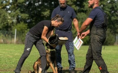 Gelungene Talentsichtung beim RSV2000 Forchheim; fair, sportlich und miteinander