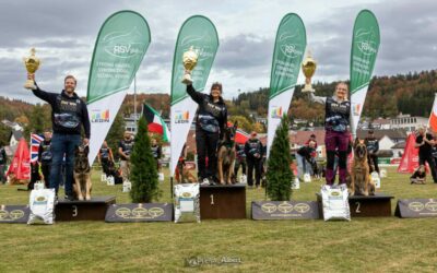 13. RSV Weltmeisterschaft 2026 in Straßberg